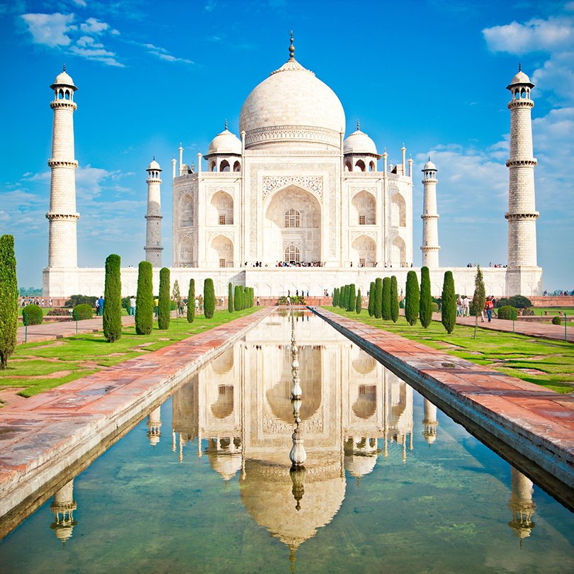 India 8 Daffodils New Website Landing Pages Square Images - India: 2 Why