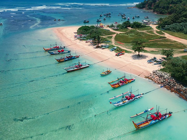Planning your Dream trip Sri Lanka Cover